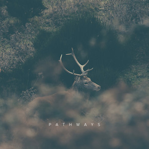 Pathways by Warmth