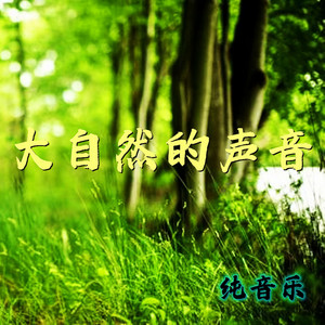 cool bar - 丛林鸟(大自然的声音)