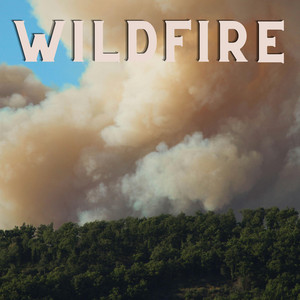 Wildfire by Nemus Spen