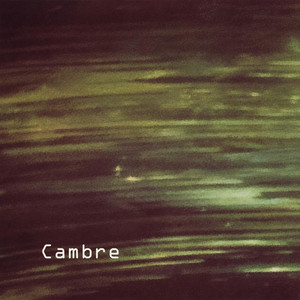 That's What I Said by Cambre