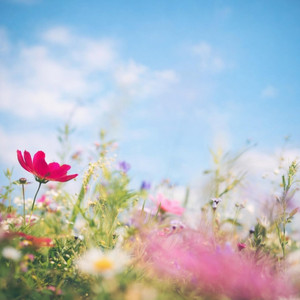 New Spring by AIGOR
