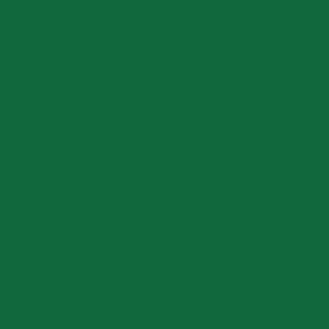 forsa1