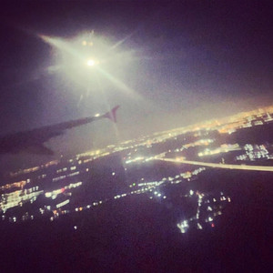 gavin — (Fly) (2026)