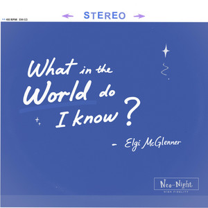 What In The World Do I Know? by Elgi McGlenner