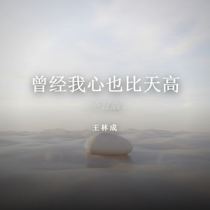 曾经我心也比天高（不甘版） by 王林成