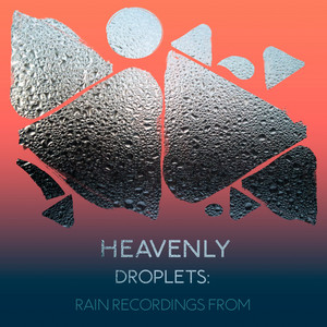 zZz Heavenly Droplets: Rain Recordings from the Moors zZz album