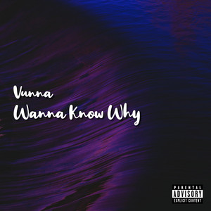 Wanna Know Why by Vunna