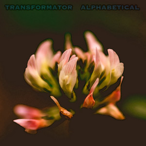 Alphabetical by Transformator