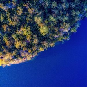 Portada de Jardinera