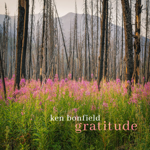 Redeemed by Ken Bonfield, Michael Manring, Jeff Oster
