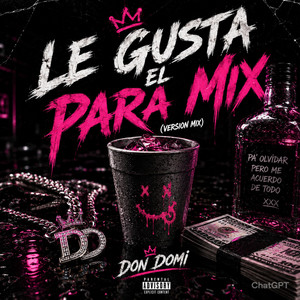 LE GUSTA EL PARTY MIX by DON DOMI