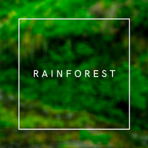 Infraction Music - Rainforest
