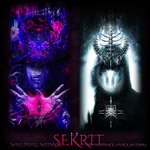 Sekrit by Weeping Wi11ow, Trekkrrholymountain