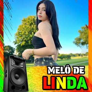 ANDRE MIX OFICIAL - MELÔ DE LINDA 2025 REGGAE TIME