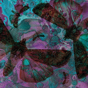 Asta Clover - You and Me