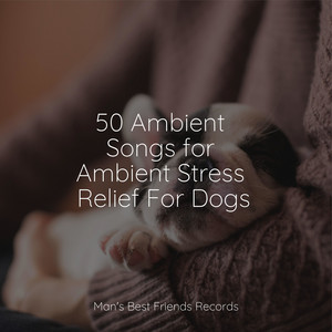 50 Ambient Songs for Ambient Stress Relief For Dogs album