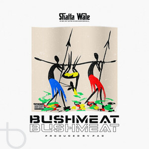 Bushmeat by Shatta Wale