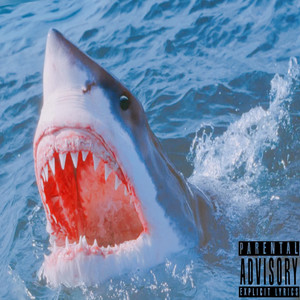 Shark by Itz Poppa