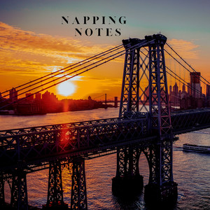 Napping Notes by Seth Bluebird