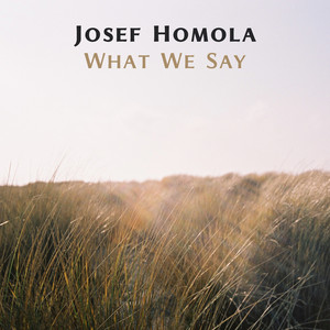 Upon Gliding Wings by Josef Homola