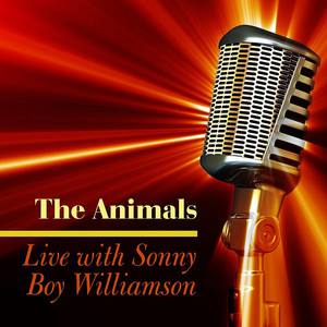 WILLIAMSON レコード　THE &SONNY BOY ANIMALS