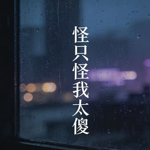 怪只怪我太傻