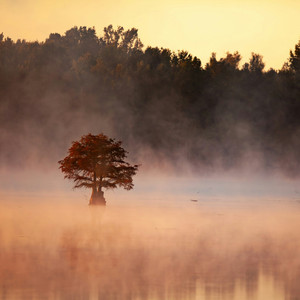 Un Momento Lento by Olly Chesterman