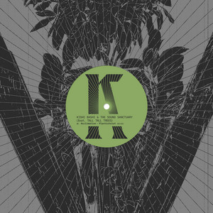 Plantichrist by Kishi Bashi, Tall Tall Trees, The Sound Sanctuary