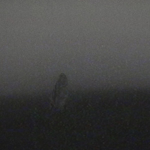 FTBN - not fully here