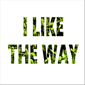 I Like The Way by TIRIONBEATS cameleon