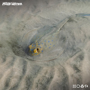 Stung By A Stingray by Moon Water