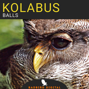 Kolabus cover