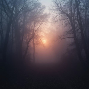 Morning Mist Melancholy by RLEIPA