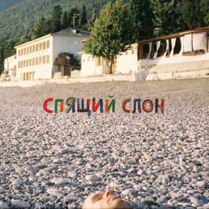 Спящий слон by тима музыка
