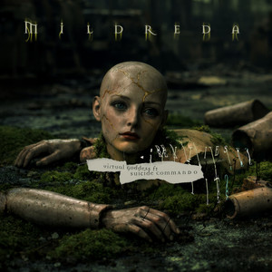 Virtual Goddess - feat. Suicide Commando (Remix) by Mildreda, Flesh Field, Suicide Commando