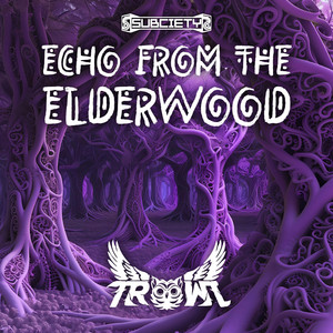 Echo from the Elderwood cover art