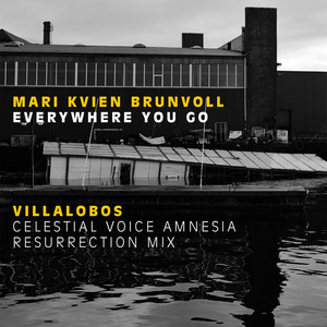 Everywhere You Go - Villalobos celestial voice resurrection/amnesia rehabilitation mix cover art