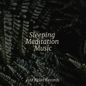 Sleeping Meditation Music