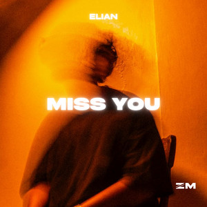 Miss You by Elian
