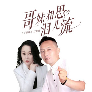 哥妹相思泪儿流 - DJ沈念版 by 红蔷薇, 月下思故人