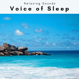 A Voice of Sleep album