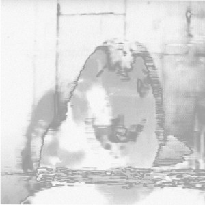 Lust (feat. tashka & vxlntin)