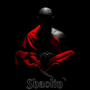 Soulcoholic — Shaolin