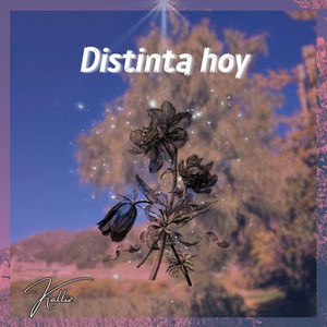 Distinta hoy by Kalliz