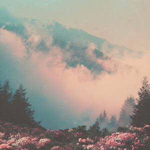 Canopy Breaks by VibeWithLeafy