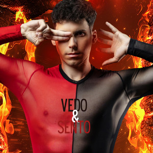 Vedo e sento by Vincenzo