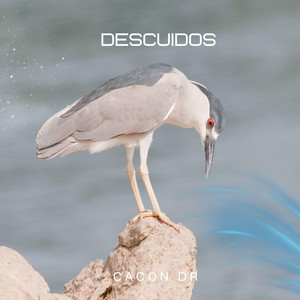 Descuidos by Cacon Dr