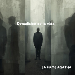 Demolicion de la vida by La firme Agatha