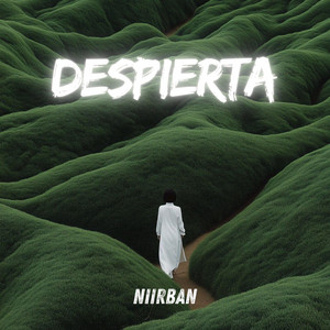 Despierta by Niirban, Kilmer Anderson Villar Ambicho