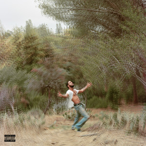 Speedin' Bullet 2 Heaven cover